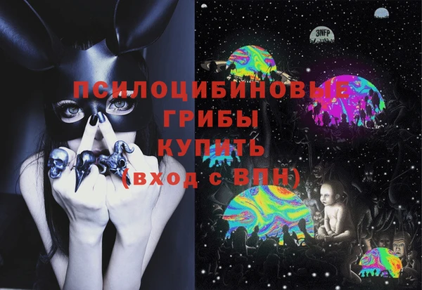 стаф Балахна
