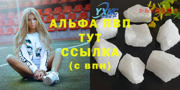 стаф Балахна