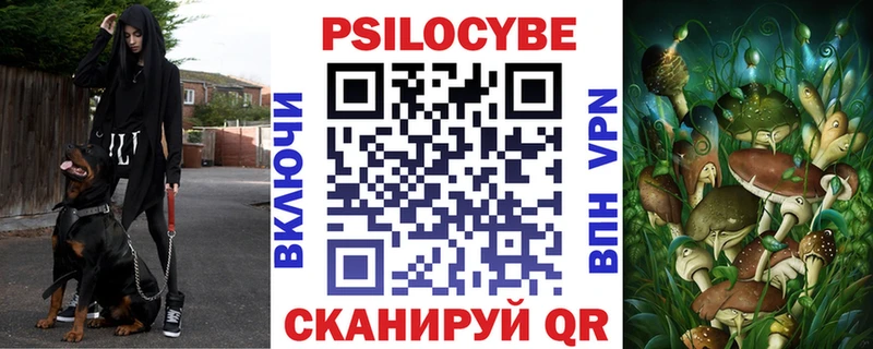 kraken как зайти  Снежногорск  Галлюциногенные грибы Psilocybine cubensis 